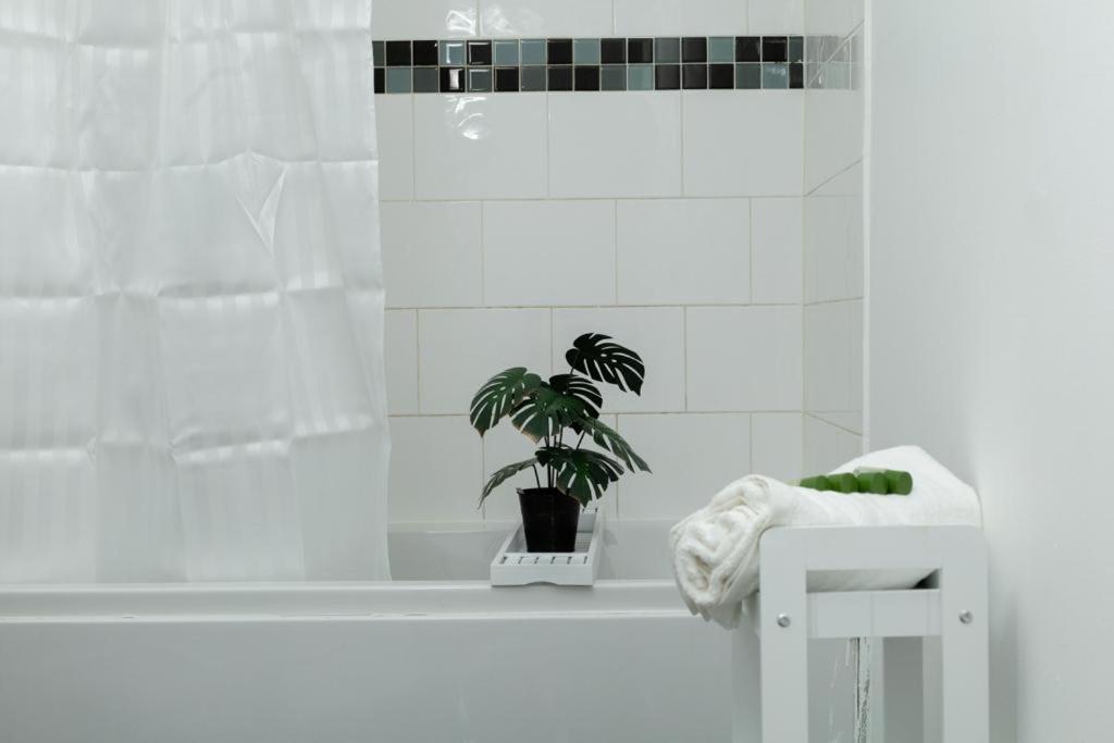 Spacious City Centre 2 Bedroom Apartment - Lt Apartment Лестер Экстерьер фото